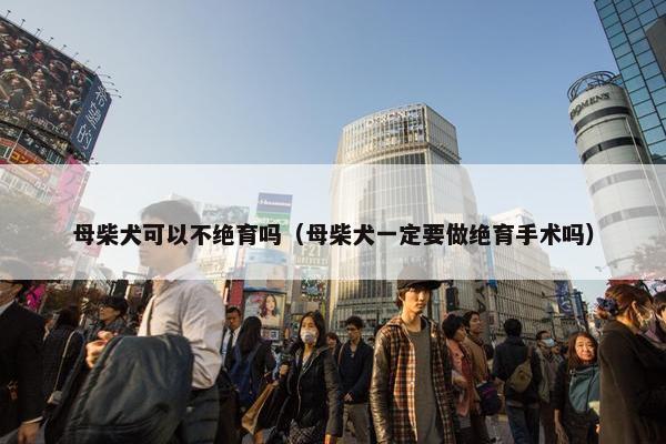 母柴犬可以不绝育吗（母柴犬一定要做绝育手术吗）