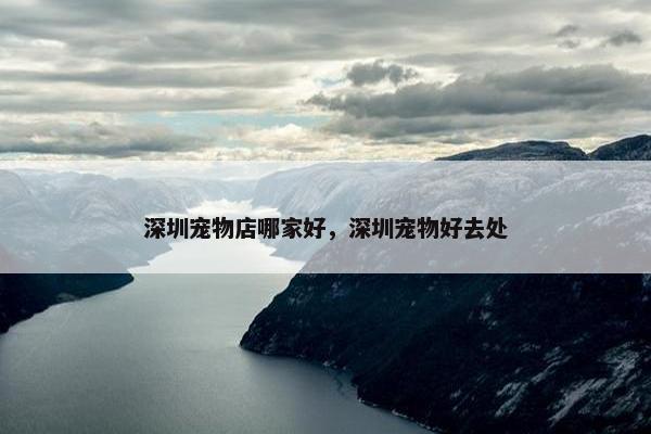 深圳宠物店哪家好，深圳宠物好去处