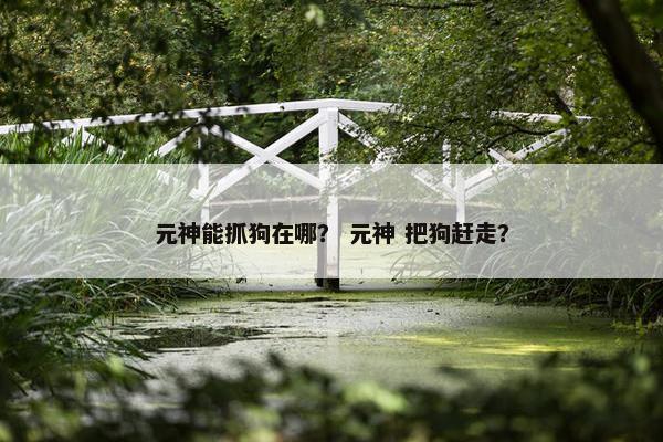 抓捕