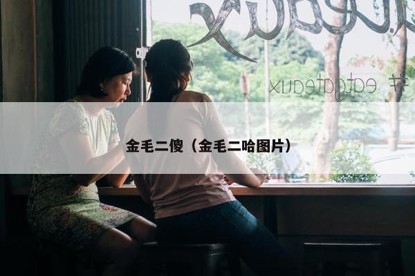 金毛二傻（金毛二哈图片）