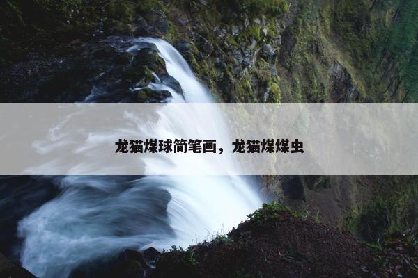 龙猫煤球简笔画，龙猫煤煤虫