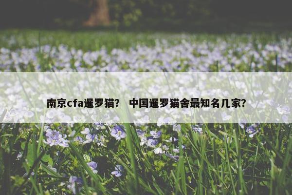 南京cfa暹罗猫? 中国暹罗猫舍最知名几家?