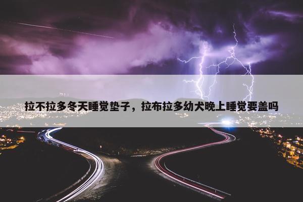拉不拉多冬天睡觉垫子，拉布拉多幼犬晚上睡觉要盖吗