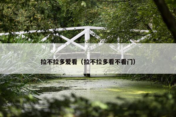 拉不拉多爱看（拉不拉多看不看门）