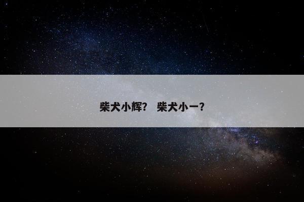 虎哥