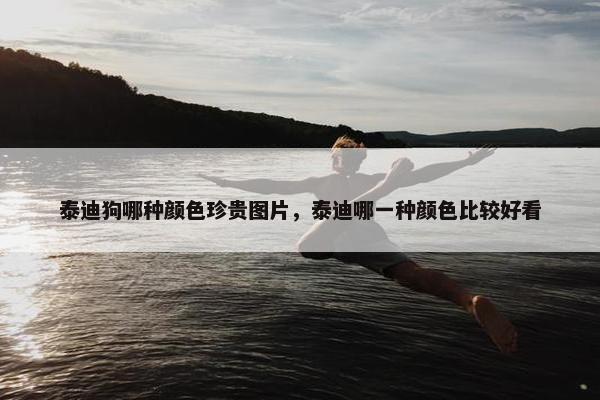 泰迪狗哪种颜色珍贵图片，泰迪哪一种颜色比较好看