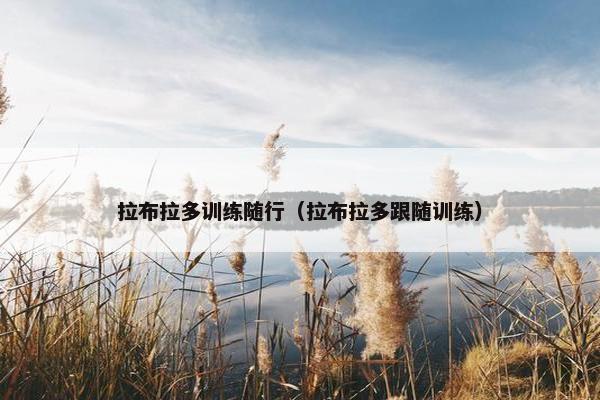 拉布拉多训练随行（拉布拉多跟随训练）