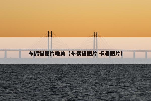 布偶猫图片唯美（布偶猫图片 卡通图片）