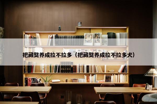 把藏獒养成拉不拉多（把藏獒养成拉不拉多犬）