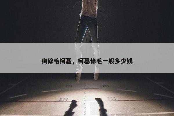 狗修毛柯基，柯基修毛一般多少钱