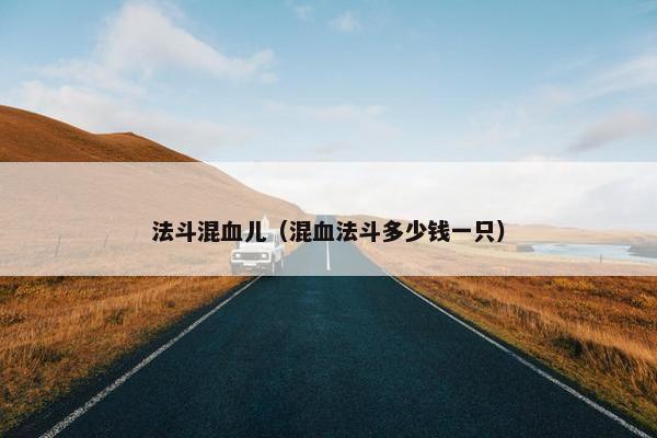 法斗混血儿（混血法斗多少钱一只）