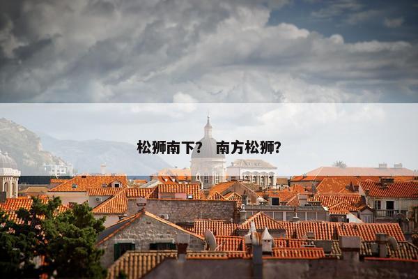 松狮南下？ 南方松狮？