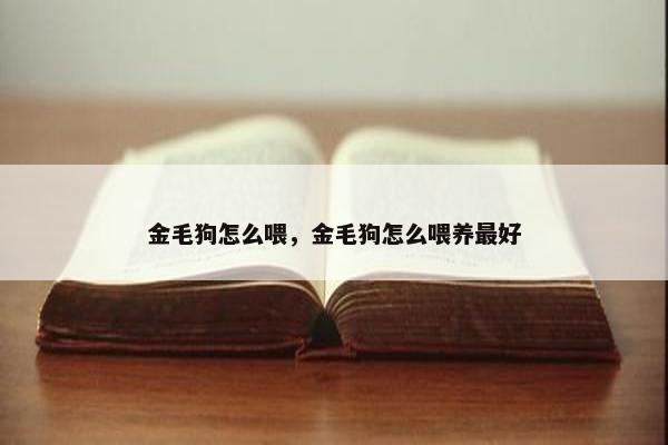 金毛狗怎么喂，金毛狗怎么喂养最好