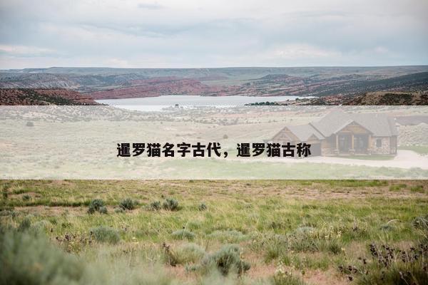 暹罗猫名字古代，暹罗猫古称