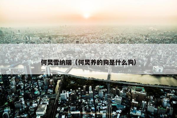 主持人