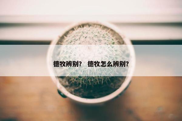 德牧辨别？ 德牧怎么辨别？