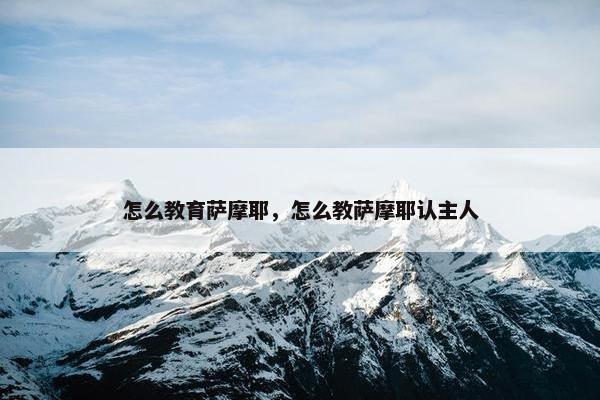怎么教育萨摩耶，怎么教萨摩耶认主人