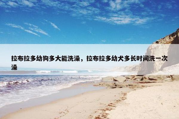拉布拉多幼狗多大能洗澡，拉布拉多幼犬多长时间洗一次澡