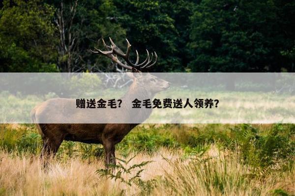 赠送金毛？ 金毛免费送人领养？