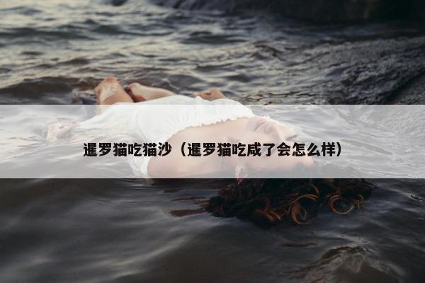 暹罗猫吃猫沙（暹罗猫吃咸了会怎么样）