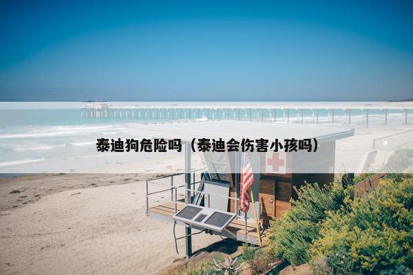 泰迪狗危险吗（泰迪会伤害小孩吗）