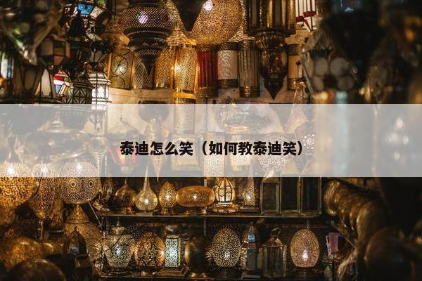 泰迪怎么笑（如何教泰迪笑）