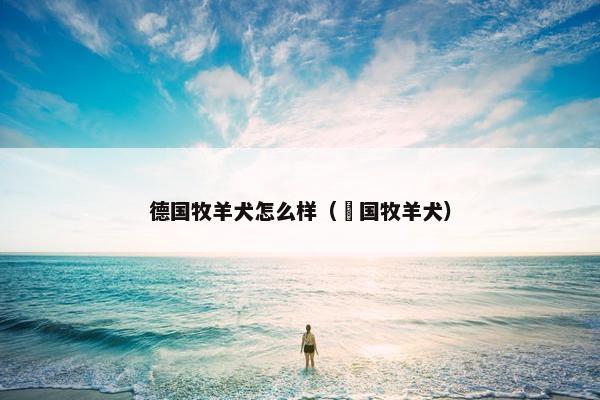 德国牧羊犬怎么样（徳国牧羊犬）