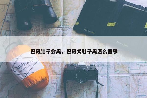巴哥肚子会黑，巴哥犬肚子黑怎么回事