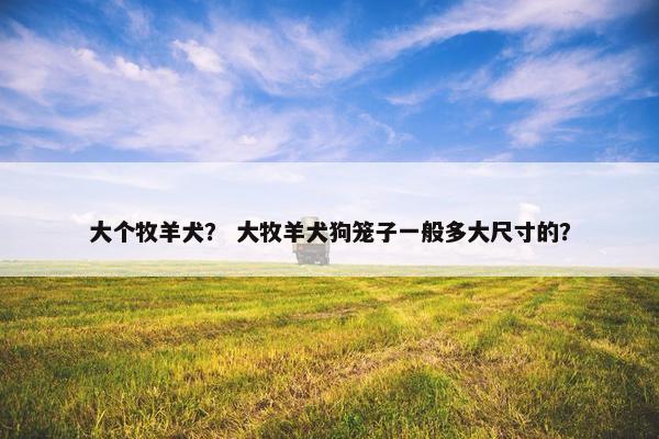 大个牧羊犬？ 大牧羊犬狗笼子一般多大尺寸的？