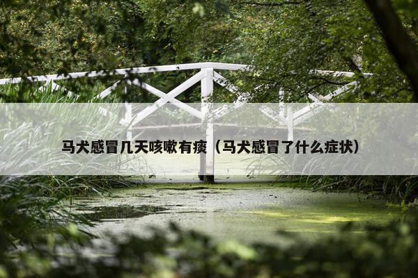 马犬感冒几天咳嗽有痰（马犬感冒了什么症状）
