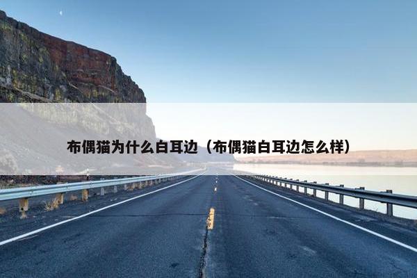布偶猫为什么白耳边（布偶猫白耳边怎么样）