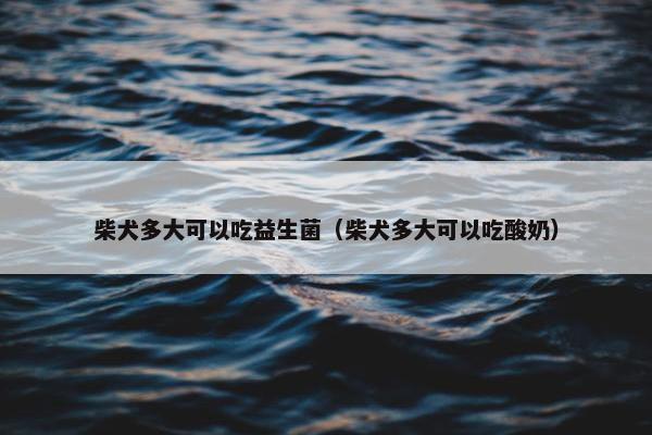 柴犬多大可以吃益生菌（柴犬多大可以吃酸奶）
