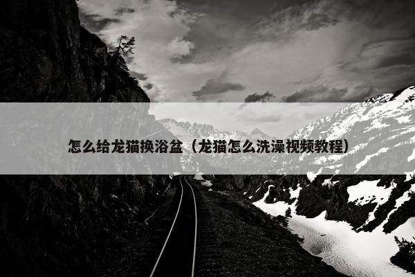 怎么给龙猫换浴盆（龙猫怎么洗澡视频教程）