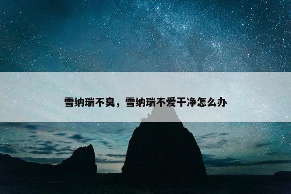 雪纳瑞不臭，雪纳瑞不爱干净怎么办