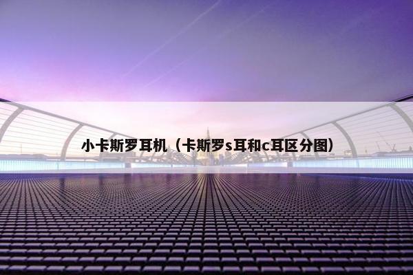 小卡斯罗耳机（卡斯罗s耳和c耳区分图）