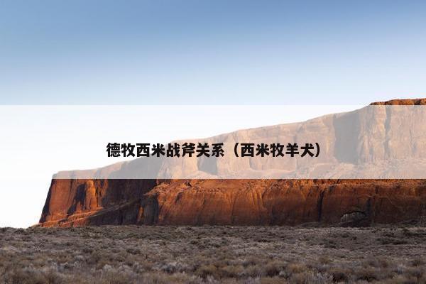 德牧西米战斧关系（西米牧羊犬）
