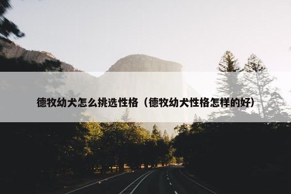 德牧幼犬怎么挑选性格（德牧幼犬性格怎样的好）