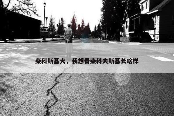 戏曲