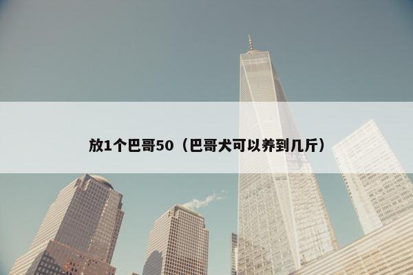 放1个巴哥50（巴哥犬可以养到几斤）
