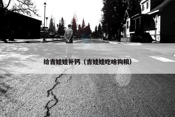 给吉娃娃补钙（吉娃娃吃啥狗粮）
