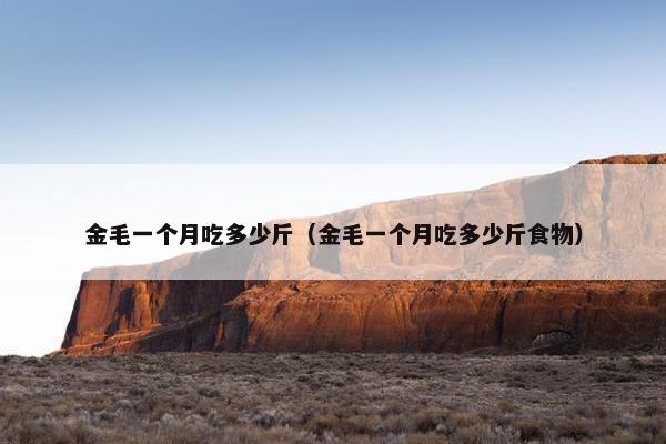 金毛一个月吃多少斤（金毛一个月吃多少斤食物）