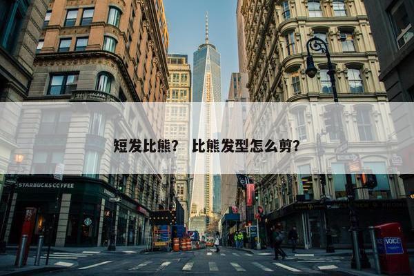 短发比熊？ 比熊发型怎么剪？