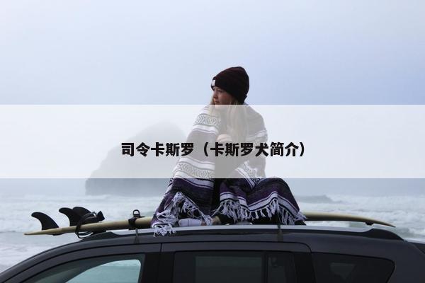 司令卡斯罗（卡斯罗犬简介）