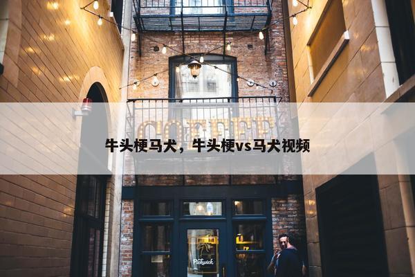 牛头梗马犬，牛头梗vs马犬视频