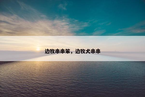边牧串串笨，边牧犬串串