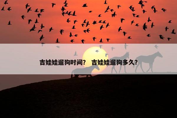 吉娃娃遛狗时间？ 吉娃娃遛狗多久？