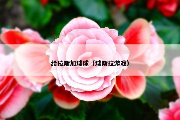 给拉斯加球球（球斯拉游戏）