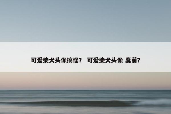 可爱柴犬头像搞怪？ 可爱柴犬头像 蠢萌？