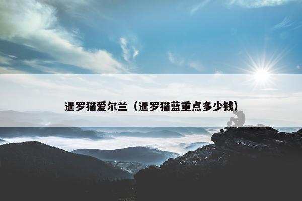 暹罗猫爱尔兰（暹罗猫蓝重点多少钱）