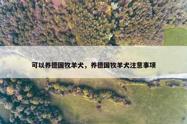 可以养德国牧羊犬，养德国牧羊犬注意事项